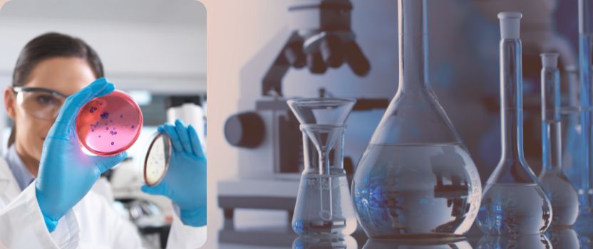 Laboratory Billing Services